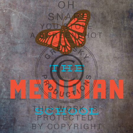 Meridian-Logo-Stacked-FullColour (2)