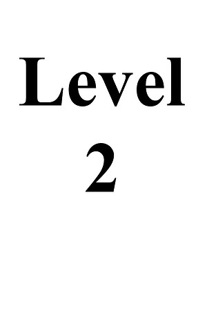 Level 2
