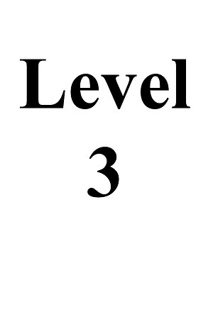 Level 3
