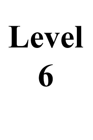 Level 6