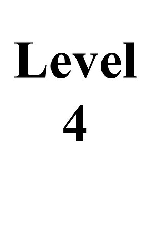 Level 4