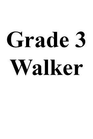 Grade 3 Walker