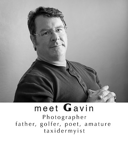 Gavin copy